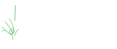 lifeis